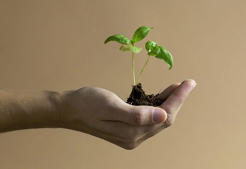 确？梢涣の蠢